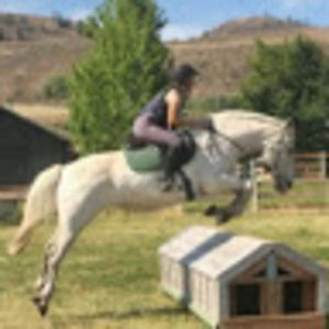 Meet your Posher, Dev